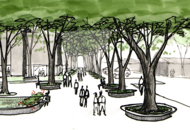 Prefeitura Municipal Disponibiliza Guia de Arborização Urbana