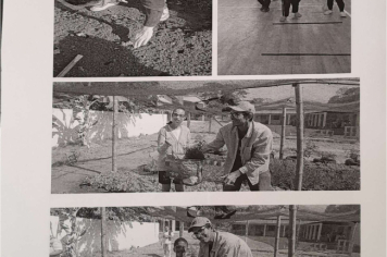 Foto - RELATÓRIO DESENVOLVIDOS 2024