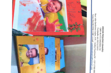 Foto - RELATÓRIO DESENVOLVIDOS 2024 CRECHE MUNICIPAL