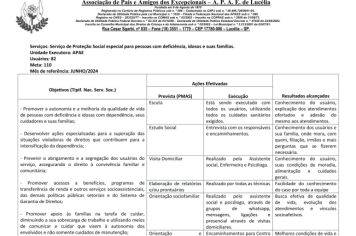 Foto - RELATÓRIO DESENVOLVIDOS 2024