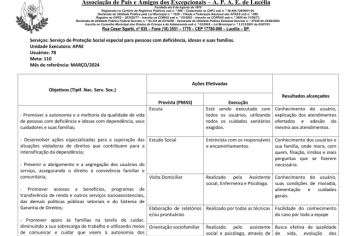 Foto - RELATÓRIO DESENVOLVIDOS 2024