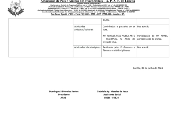 Foto - RELATÓRIO DESENVOLVIDOS 2024