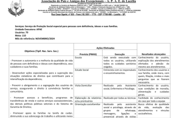 Foto - RELATÓRIO DESENVOLVIDOS 2024