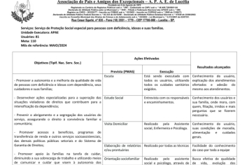 Foto - RELATÓRIO DESENVOLVIDOS 2024